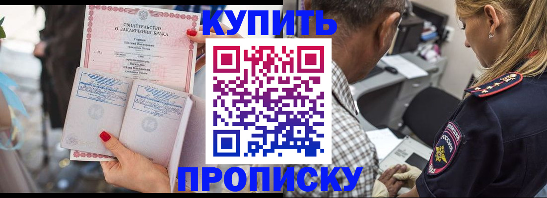 прописка законно в Камышине